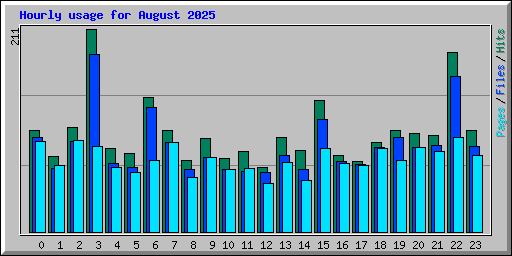 Hourly usage for August 2025